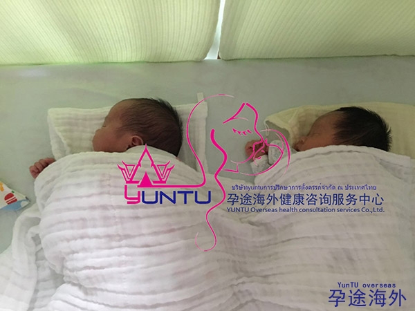 泰国试管婴儿双胞胎宝宝诞生了！