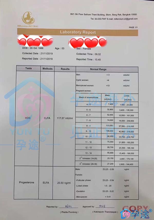 泰国供卵试管婴儿
