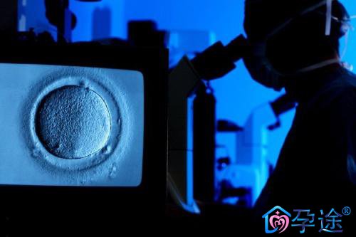 泰国试管婴儿取多少卵